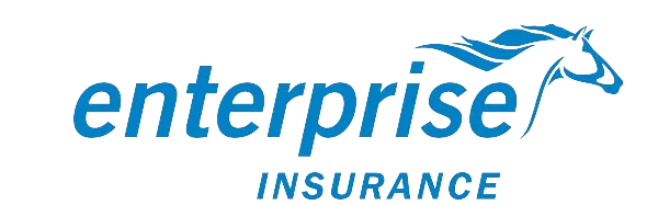 Enterprise Insurance